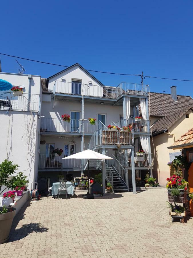 Au Gre De L'Ill 'L'Ill' Apartment Horbourg Exterior photo